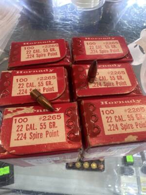 Hornady .22 Cal 55gr Spire Point Bullets – 100ct